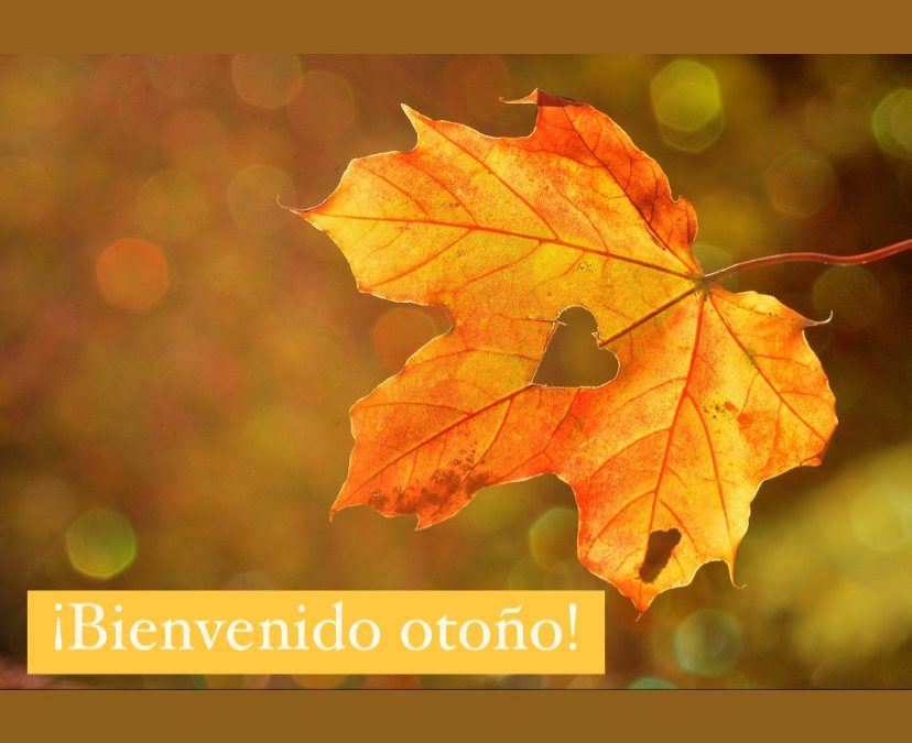 BIENVENIDO OTOÑO