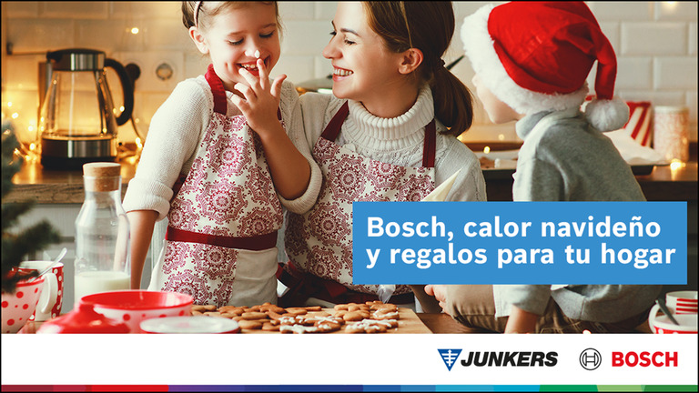 Campaña Bosch en noviembre para profesionales
