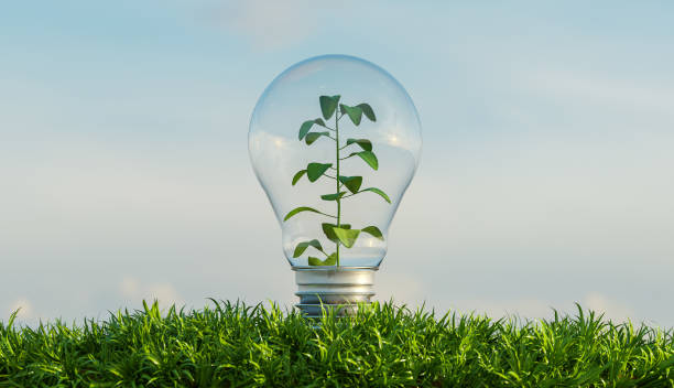 ¡Celebremos juntos el Día Internacional de la Energía Limpia! 🌍💡